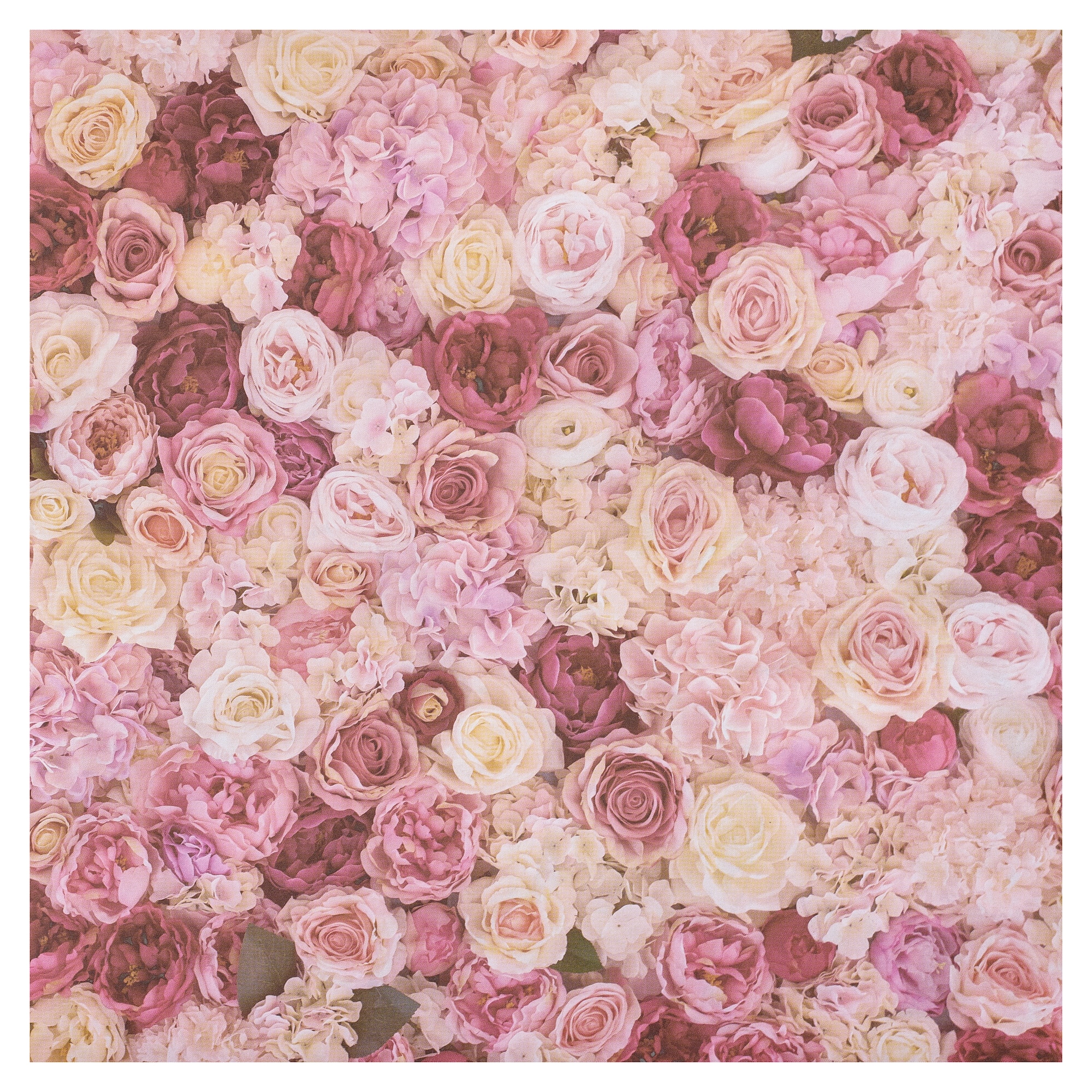 48 Pack: Pink Roses Cardstock by Recollections™, 12" x 12"